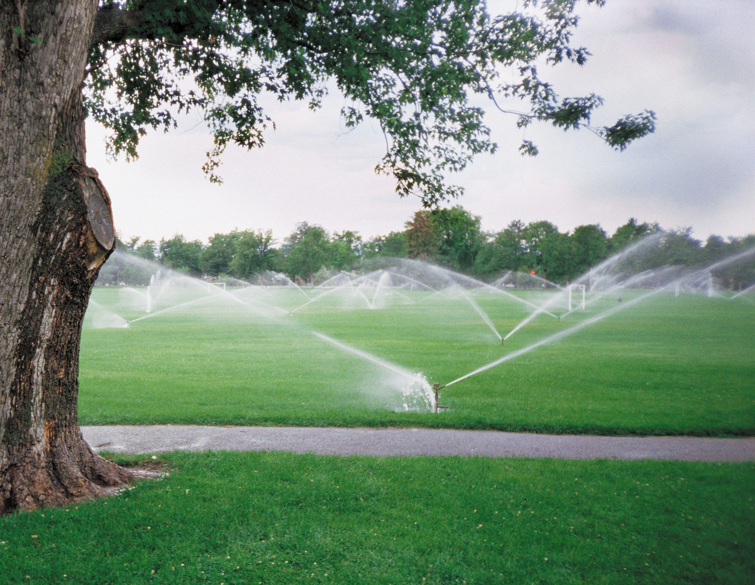 Sprinkler in park
